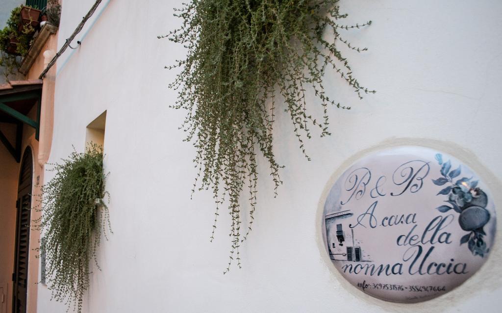 B&B A Casa Della Nonna Uccia Nardò Exterior foto